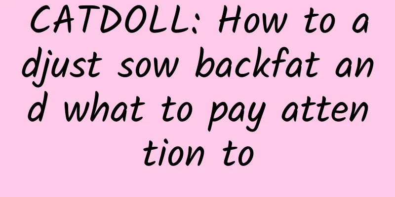 CATDOLL: How to adjust sow backfat and what to pay attention to