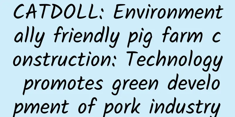 CATDOLL: Environmentally friendly pig farm construction: Technology promotes green development of pork industry