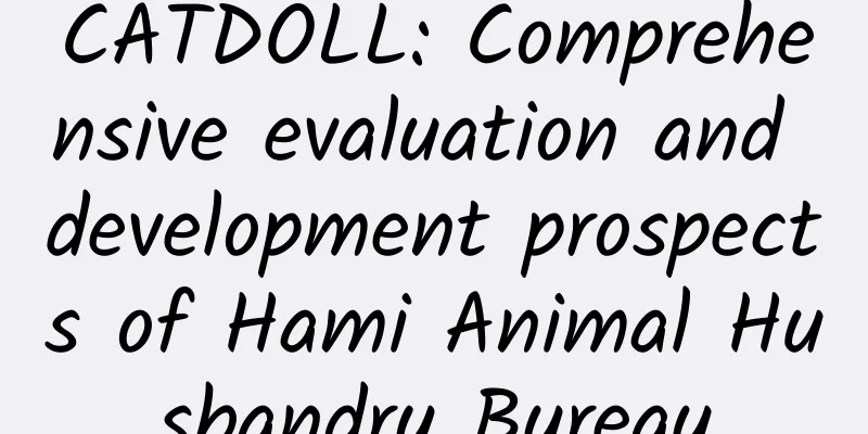 CATDOLL: Comprehensive evaluation and development prospects of Hami Animal Husbandry Bureau