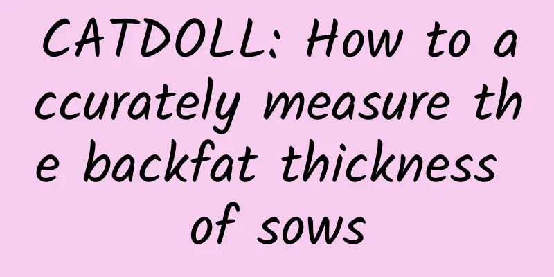 CATDOLL: How to accurately measure the backfat thickness of sows