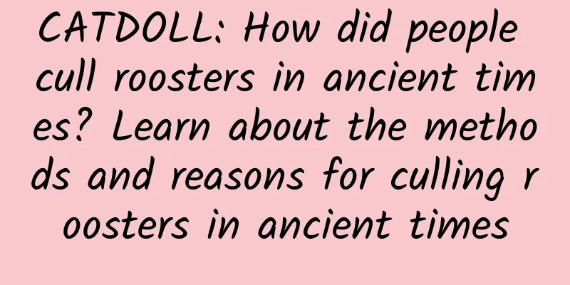CATDOLL: How did people cull roosters in ancient times? Learn about the methods and reasons for culling roosters in ancient times