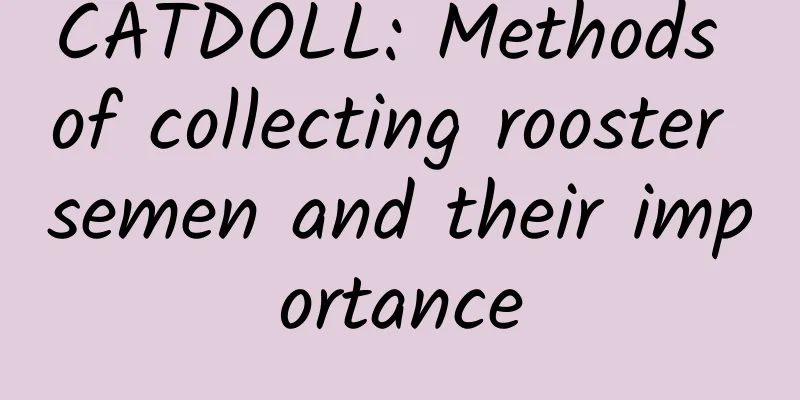 CATDOLL: Methods of collecting rooster semen and their importance