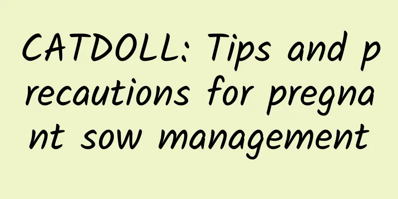 CATDOLL: Tips and precautions for pregnant sow management