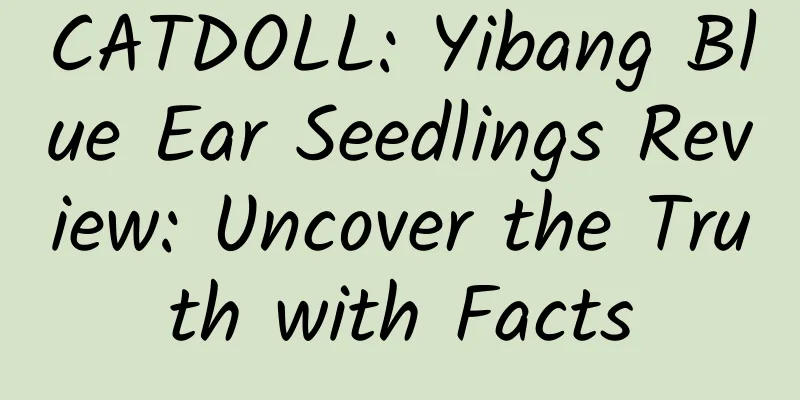 CATDOLL: Yibang Blue Ear Seedlings Review: Uncover the Truth with Facts