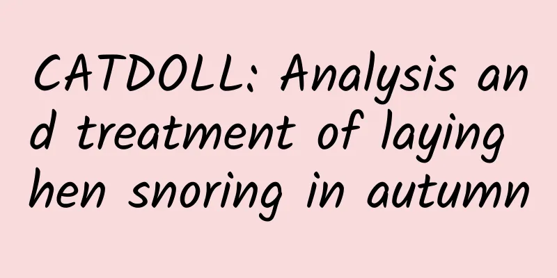 CATDOLL: Analysis and treatment of laying hen snoring in autumn