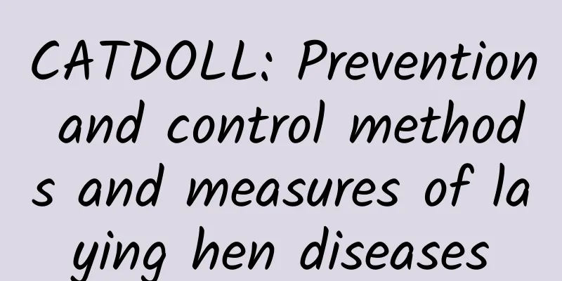 CATDOLL: Prevention and control methods and measures of laying hen diseases