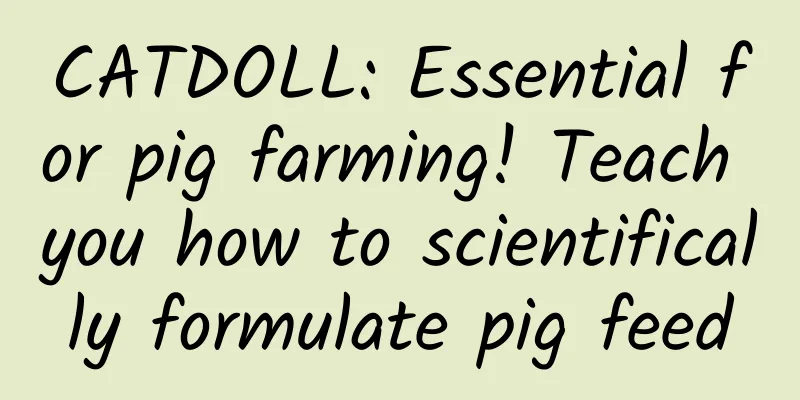 CATDOLL: Essential for pig farming! Teach you how to scientifically formulate pig feed