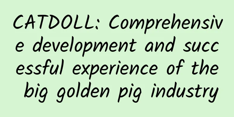 CATDOLL: Comprehensive development and successful experience of the big golden pig industry