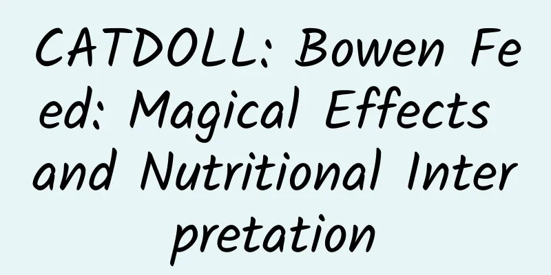 CATDOLL: Bowen Feed: Magical Effects and Nutritional Interpretation
