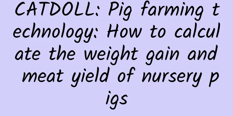CATDOLL: Pig farming technology: How to calculate the weight gain and meat yield of nursery pigs