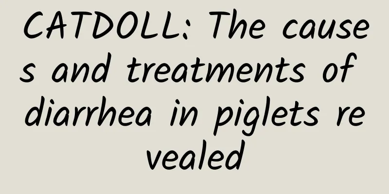 CATDOLL: The causes and treatments of diarrhea in piglets revealed