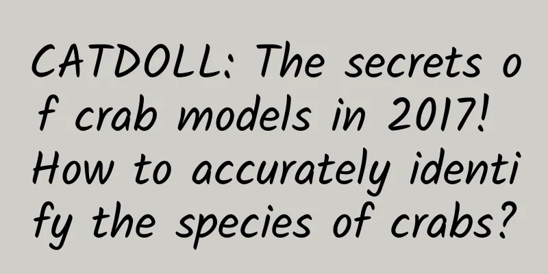 CATDOLL: The secrets of crab models in 2017! How to accurately identify the species of crabs?