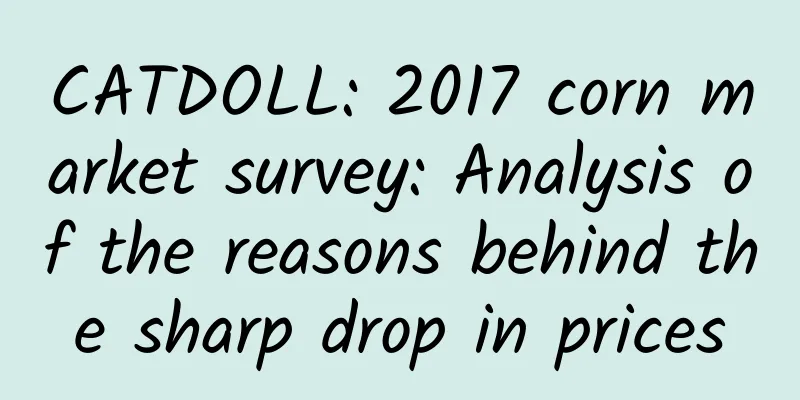 CATDOLL: 2017 corn market survey: Analysis of the reasons behind the sharp drop in prices