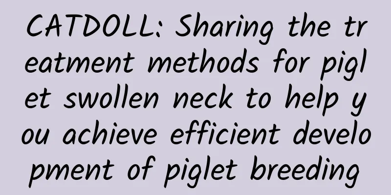 CATDOLL: Sharing the treatment methods for piglet swollen neck to help you achieve efficient development of piglet breeding
