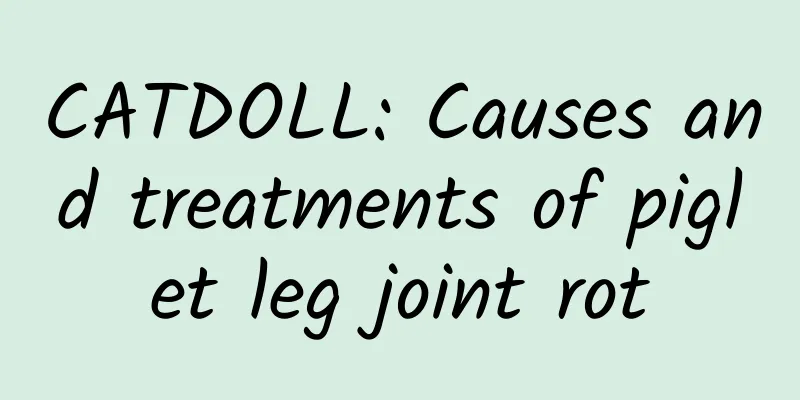 CATDOLL: Causes and treatments of piglet leg joint rot