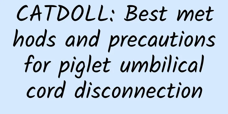 CATDOLL: Best methods and precautions for piglet umbilical cord disconnection