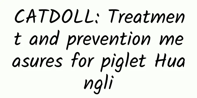 CATDOLL: Treatment and prevention measures for piglet Huangli