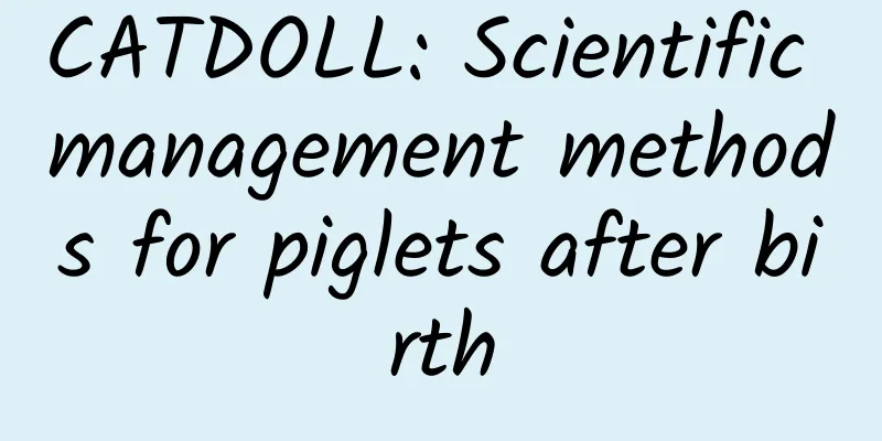 CATDOLL: Scientific management methods for piglets after birth