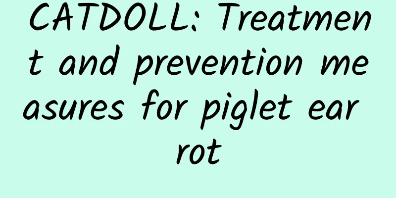 CATDOLL: Treatment and prevention measures for piglet ear rot