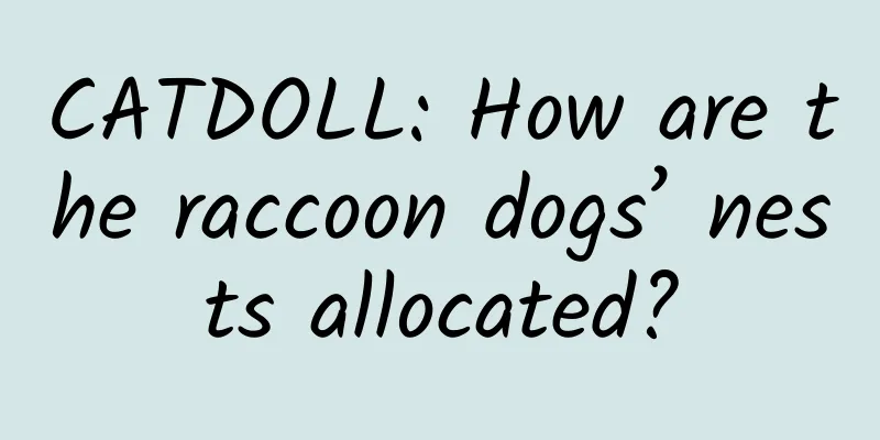CATDOLL: How are the raccoon dogs’ nests allocated?