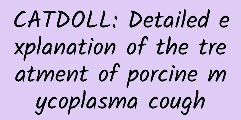 CATDOLL: Detailed explanation of the treatment of porcine mycoplasma cough