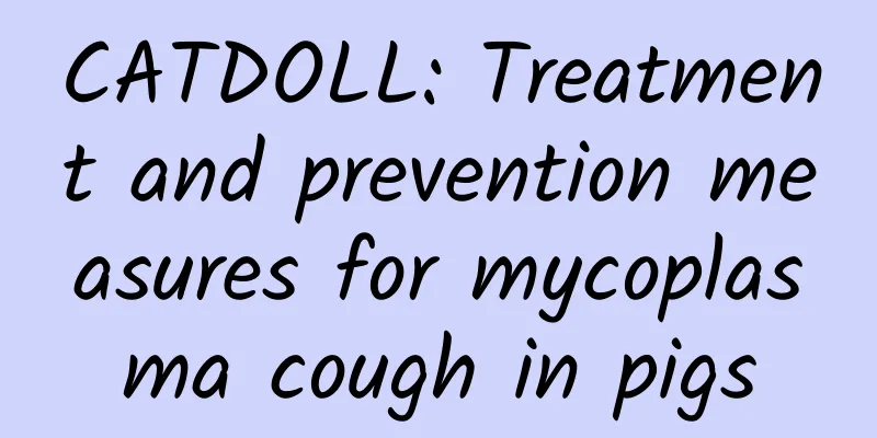CATDOLL: Treatment and prevention measures for mycoplasma cough in pigs