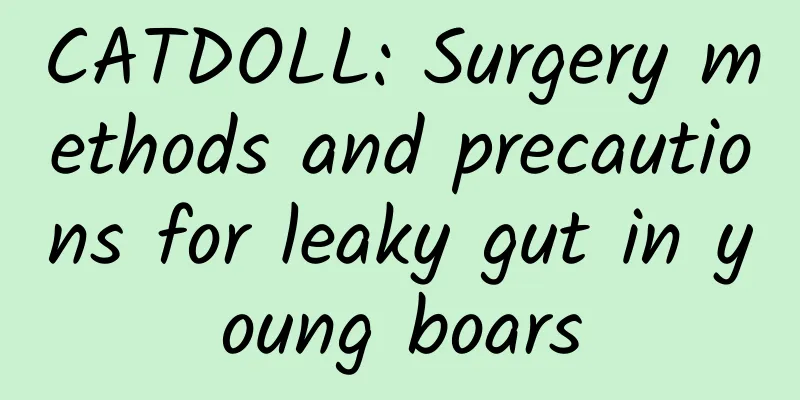 CATDOLL: Surgery methods and precautions for leaky gut in young boars