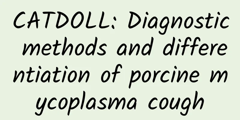 CATDOLL: Diagnostic methods and differentiation of porcine mycoplasma cough