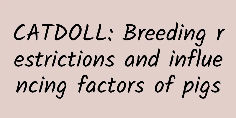 CATDOLL: Breeding restrictions and influencing factors of pigs