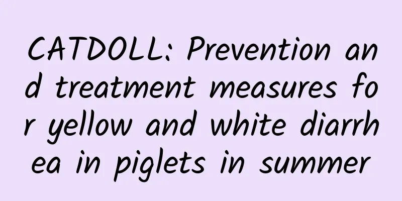 CATDOLL: Prevention and treatment measures for yellow and white diarrhea in piglets in summer