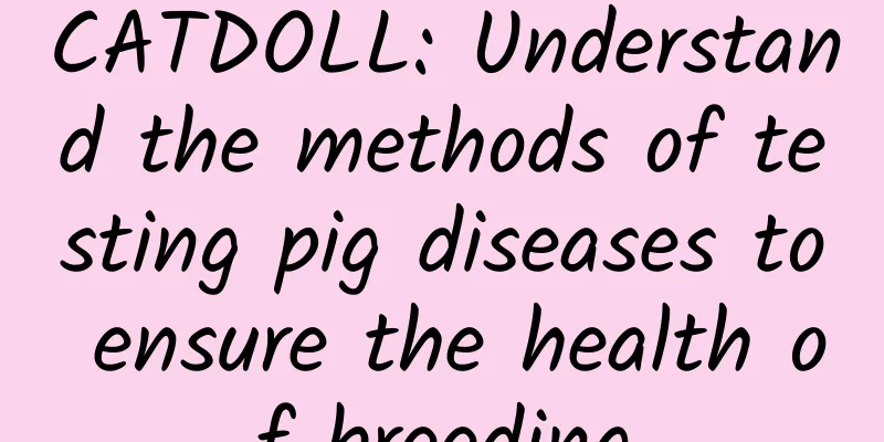 CATDOLL: Understand the methods of testing pig diseases to ensure the health of breeding