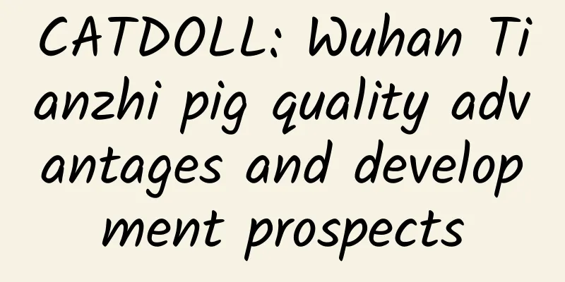 CATDOLL: Wuhan Tianzhi pig quality advantages and development prospects