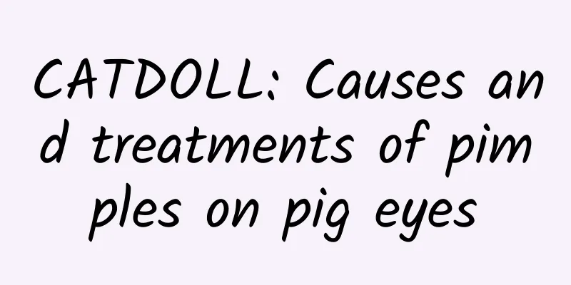 CATDOLL: Causes and treatments of pimples on pig eyes