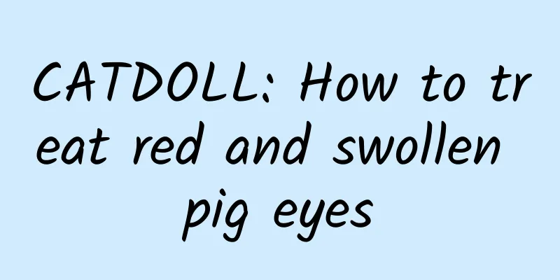 CATDOLL: How to treat red and swollen pig eyes