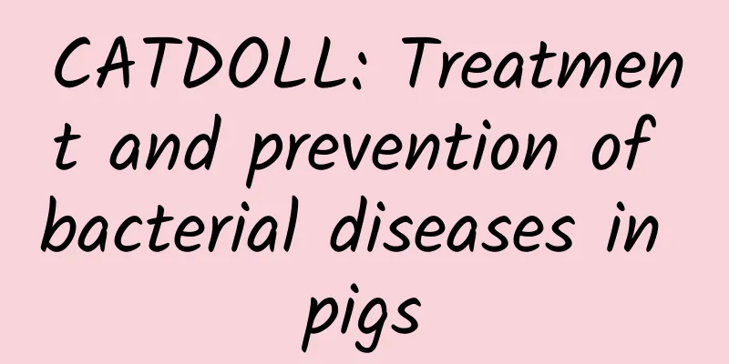 CATDOLL: Treatment and prevention of bacterial diseases in pigs