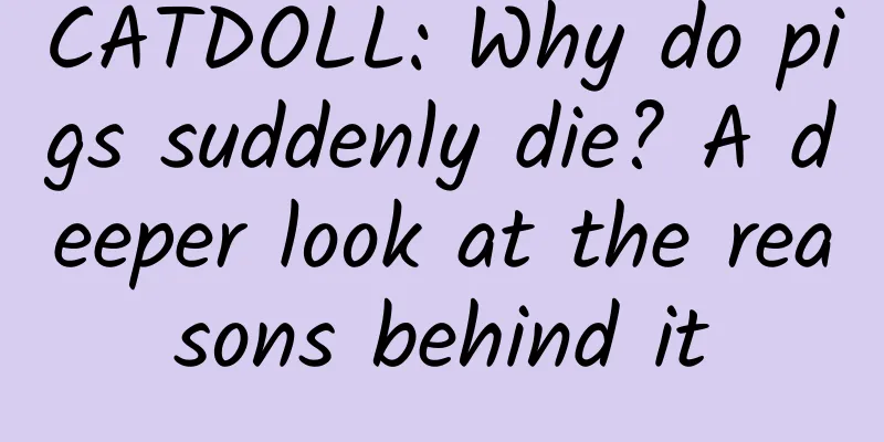 CATDOLL: Why do pigs suddenly die? A deeper look at the reasons behind it