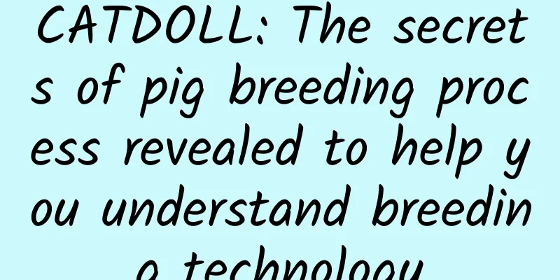 CATDOLL: The secrets of pig breeding process revealed to help you understand breeding technology