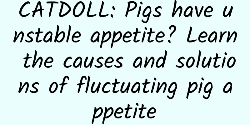 CATDOLL: Pigs have unstable appetite? Learn the causes and solutions of fluctuating pig appetite