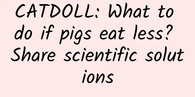 CATDOLL: What to do if pigs eat less? Share scientific solutions