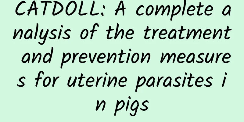 CATDOLL: A complete analysis of the treatment and prevention measures for uterine parasites in pigs
