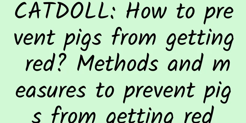 CATDOLL: How to prevent pigs from getting red? Methods and measures to prevent pigs from getting red