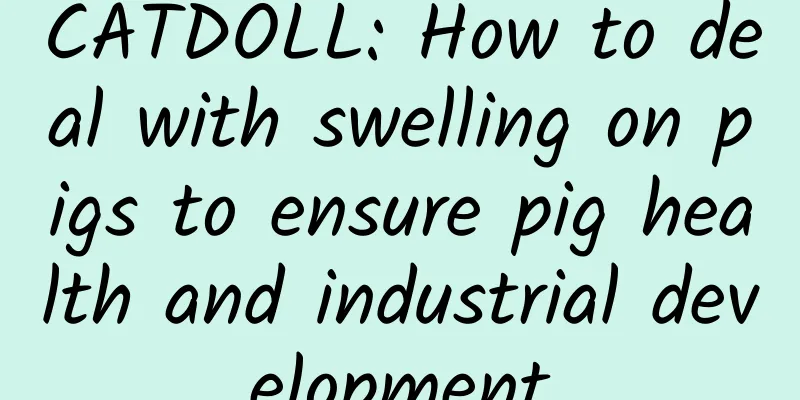 CATDOLL: How to deal with swelling on pigs to ensure pig health and industrial development