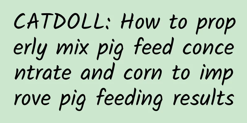 CATDOLL: How to properly mix pig feed concentrate and corn to improve pig feeding results