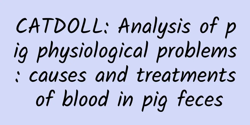 CATDOLL: Analysis of pig physiological problems: causes and treatments of blood in pig feces