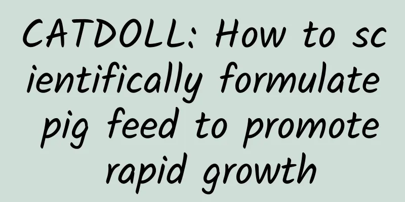 CATDOLL: How to scientifically formulate pig feed to promote rapid growth