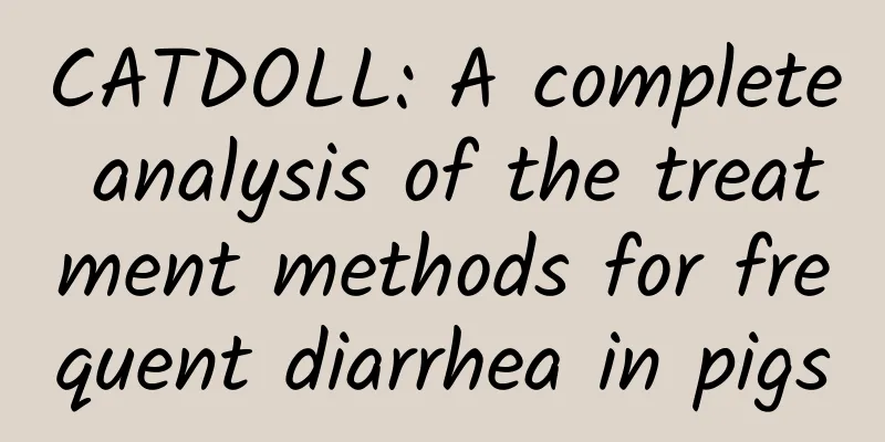 CATDOLL: A complete analysis of the treatment methods for frequent diarrhea in pigs