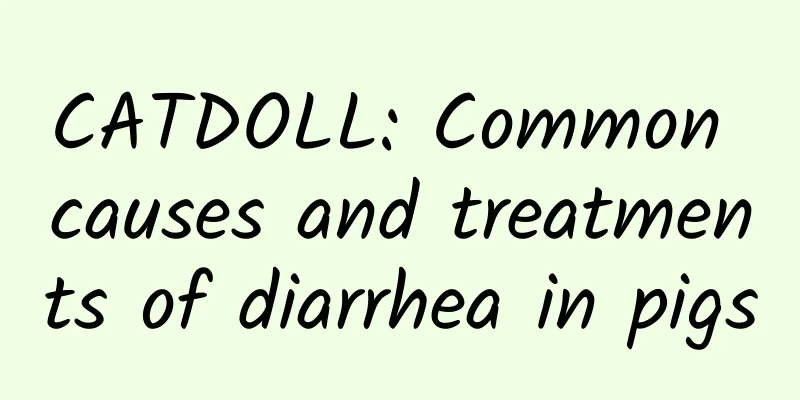 CATDOLL: Common causes and treatments of diarrhea in pigs