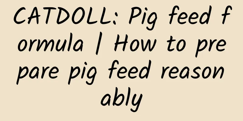 CATDOLL: Pig feed formula | How to prepare pig feed reasonably