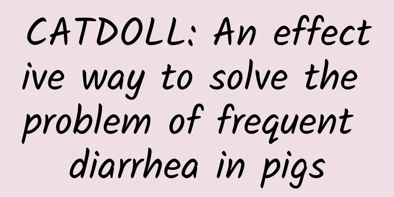 CATDOLL: An effective way to solve the problem of frequent diarrhea in pigs