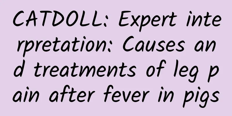 CATDOLL: Expert interpretation: Causes and treatments of leg pain after fever in pigs